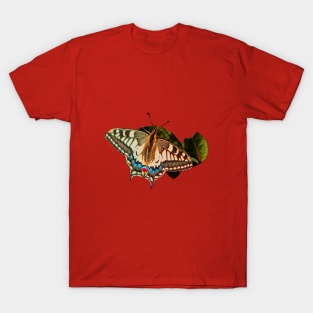 Swallowtail Butterfly T-Shirt